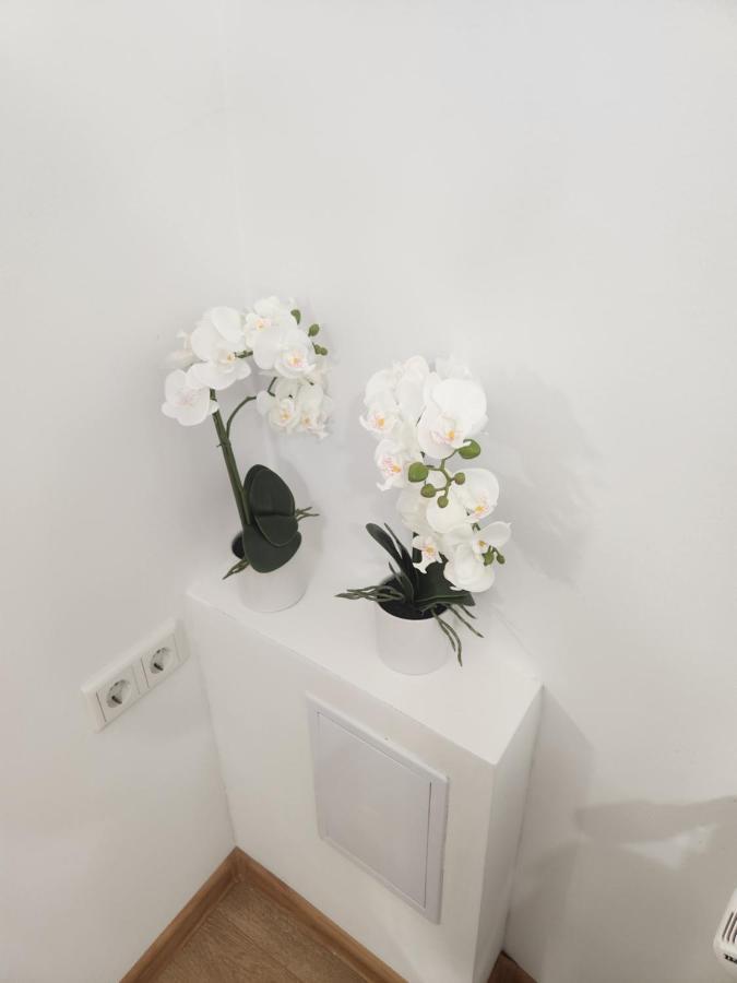 Apartman Zagreb Cca 42M2 With Free Parking Екстериор снимка